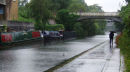 Nice Weather for Ducks